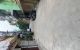 thum-9109006_4CU9o3MPVx_1704428910.jpg