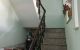 thum-9109084_ZlMX7APpCO_1704444111.jpg