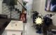 thum-9109262_bQuHT5Yx8a_1704514345.jpg