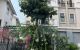 thum-9110129_wTofRt0Cjl_1704796436.jpg