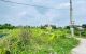 thum-m_ydNYik7GOa_1704813667.jpg