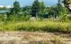 thum-m_1v8cJFRMgs_1704862343.jpg