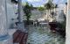 thum-9110692_XjSGnwPQuB_1704966423.jpeg