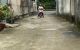 thum-9110792_eE8P2ADbtY_1705023653.jpg