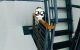 thum-9110995_orWBtbFDKE_1705076120.jpeg