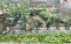 thum-m_ZbpAiN6kD4_1705222959.jpg
