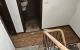 thum-9111610_9QFgBZ7J2M_1705374777.jpeg