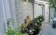 thum-m_n2bJRdVztO_1705414140.jpg