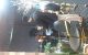 thum-9112396_FoAc1GXQNW_1705655407.jpg