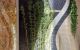 thum-9112737_SYeb4ufdao_1705850964.JPG