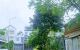 thum-9113047_VCoqHacjXP_1705980389.jpg