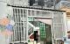 thum-m_1YjPRTHrBi_1706125570.jpg