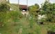 thum-9113508_9CHwNV0arR_1706231550.jpg