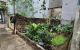 thum-m_waTsLfqlnk_1706235497.jpg