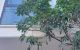 thum-m_dB83yc1Fvb_1706435452.jpg