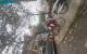 thum-9114418_PdBL9tor5Q_1706846031.jpg