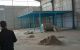 thum-9114535_yRvINAH4dr_1706972448.jpg