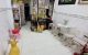 thum-m_hPKxcOdNjL_1706958675.jpeg