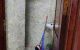 thum-9114637_egVqdZ0moz_1707192877.jpg
