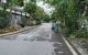 thum-m_UAgmWc58Pi_1707192860.jpg