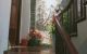 thum-m_aZs1xgXtr4_1708215823.jpg