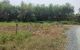 thum-m_RUs5YO9zZj_1708500520.jpg
