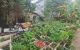 thum-m_5N8KnzygJs_1709088825.jpg
