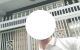 thum-m_tUs0JuNIE9_1709132439.png