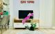 thum-m_yEu3nt85d7_1709794043.jpg