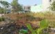 thum-m_tmS2Dx5IJW_1710146688.jpg