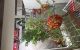 thum-m_M3a5hbunir_1710245991.jpg