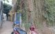 thum-9119270_MYOI2cEbUQ_1710355753.jpg