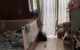thum-m_5UqZgSiOCt_1710410699.jpg