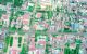 thum-9119543_39RDMHjQ0K_1710474859.jpg