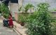 thum-m_YRgLKeD2bh_1710470091.jpg