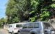 thum-m_fAl2jdgu9b_1710458894.jpg