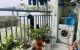 thum-9120215_cs4uZL8SwX_1710903211.jpg