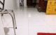 thum-9120441_ypw7C3d2uz_1710994972.jpg