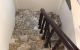 thum-9120523_qidPRBSZ9I_1711026937.jpeg