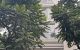 thum-m_XNJ0wIFSLK_1710954075.jpeg