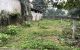 thum-9121162_F9hOLaRKEo_1711268363.jpg