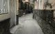 thum-9121434_baUpRz47Li_1711364642.jpg