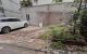 thum-m_3yf4PZb9cX_1711364766.jpg