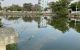 thum-m_9qwhRyQgf7_1711364440.jpg