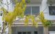 thum-m_H4IjncUC0S_1711435007.jpg