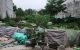 thum-9121962_uVige8SIWk_1711555710.jpg