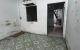 thum-9122064_h8keaTiMQl_1711610872.jpg