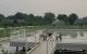 thum-9122165_jn5qy36WHw_1711667702.jpg