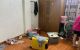 thum-9122255_F8ucPwgYQ7_1711694861.jpg