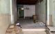 thum-9122539_qELSpX1Ya5_1711815715.jpg